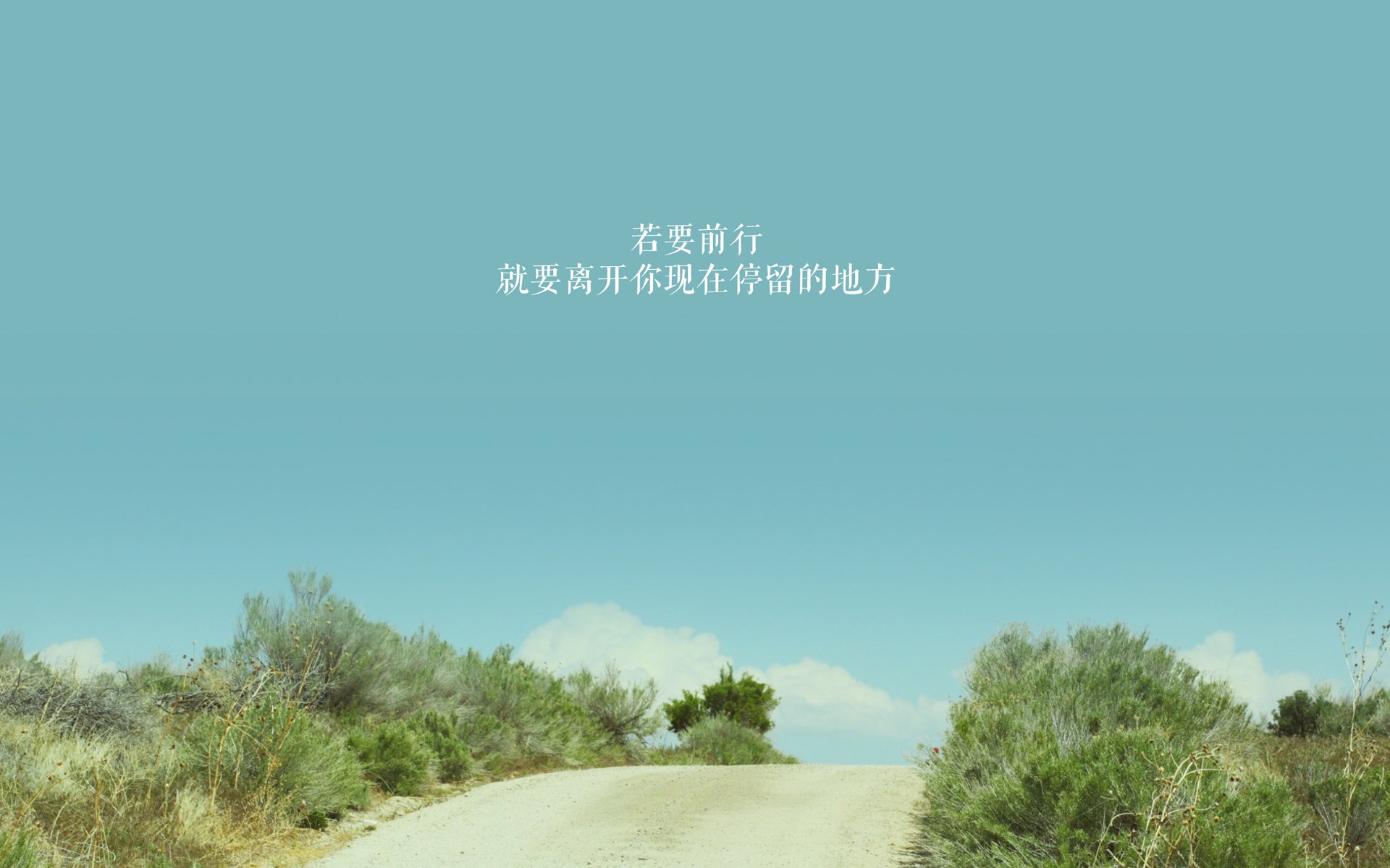 “海岸线飙车：沿海赛段的贵族速度”，海岸线解说