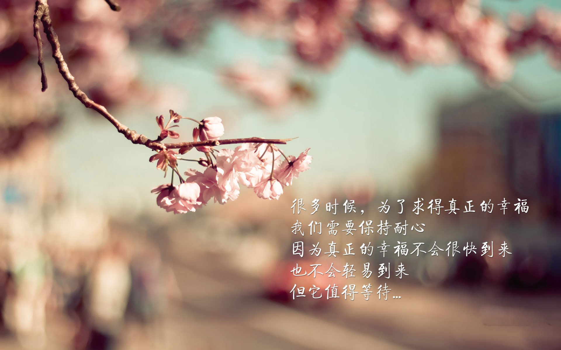 德甲赛场再次上演神奇逆转，德甲ds.