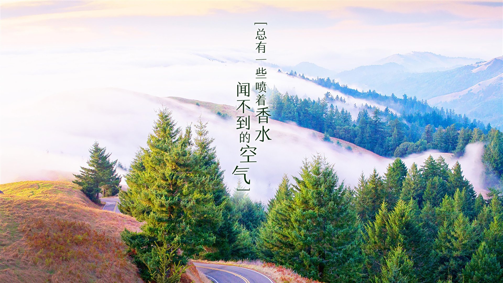 leyu.com-皇室战争“策略竞技”全球邀战赛火热举办，皇室战争联赛官网