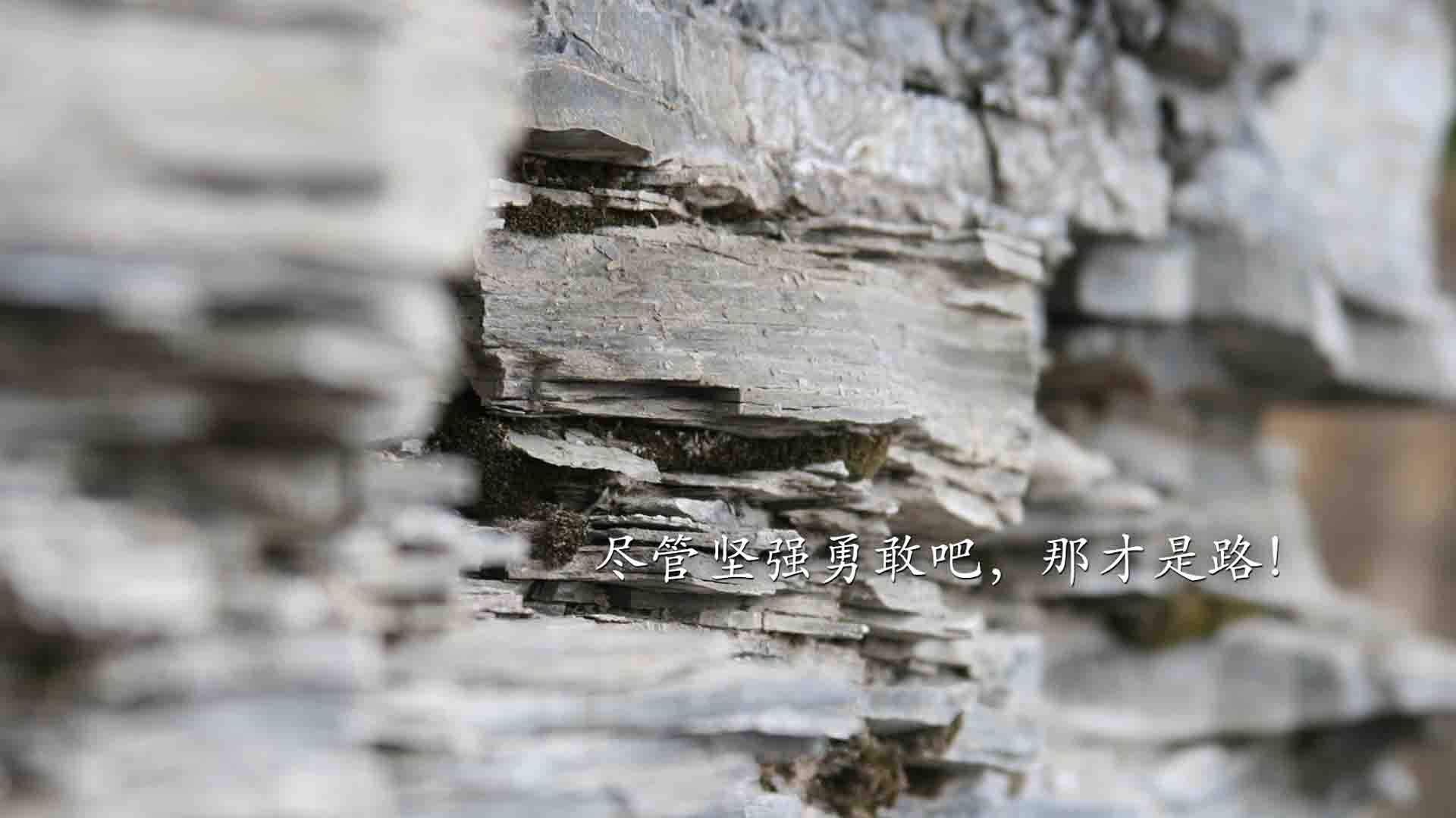 乌帕梅卡诺续约拜仁慕尼黑，乌帕梅卡诺 拜仁