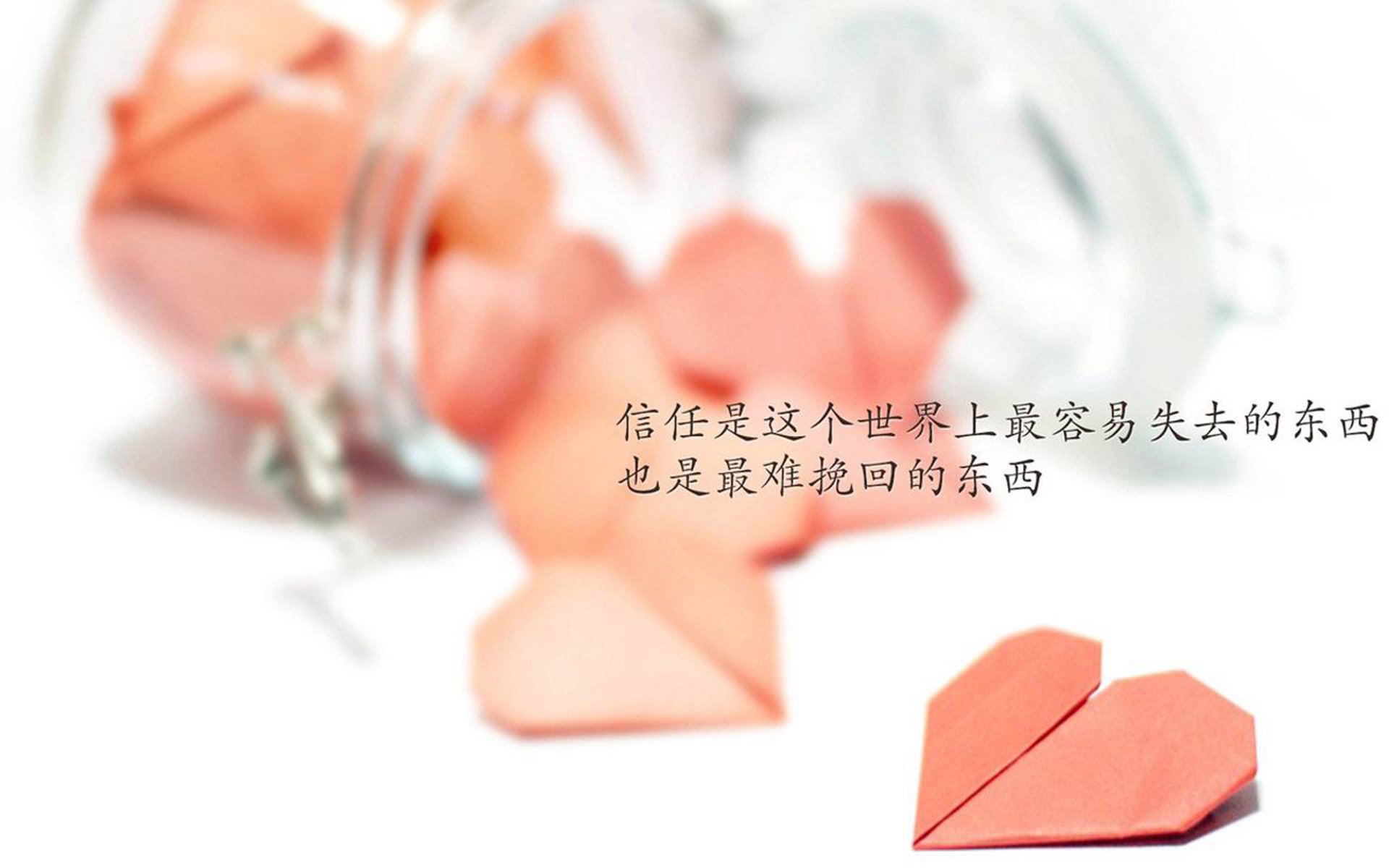 雄鹿队稳定发挥，领先积分榜排名，雄鹿队最好成绩