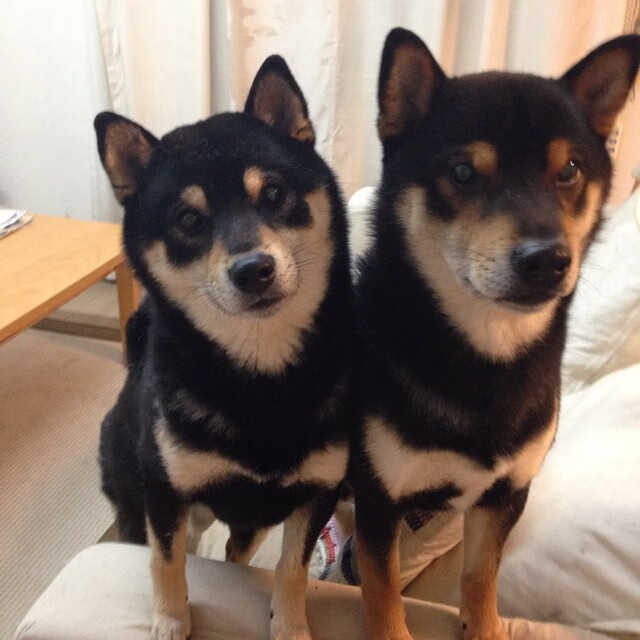 中国三人女篮完成高强度拉练 备战重要赛事,中国三人女篮2021