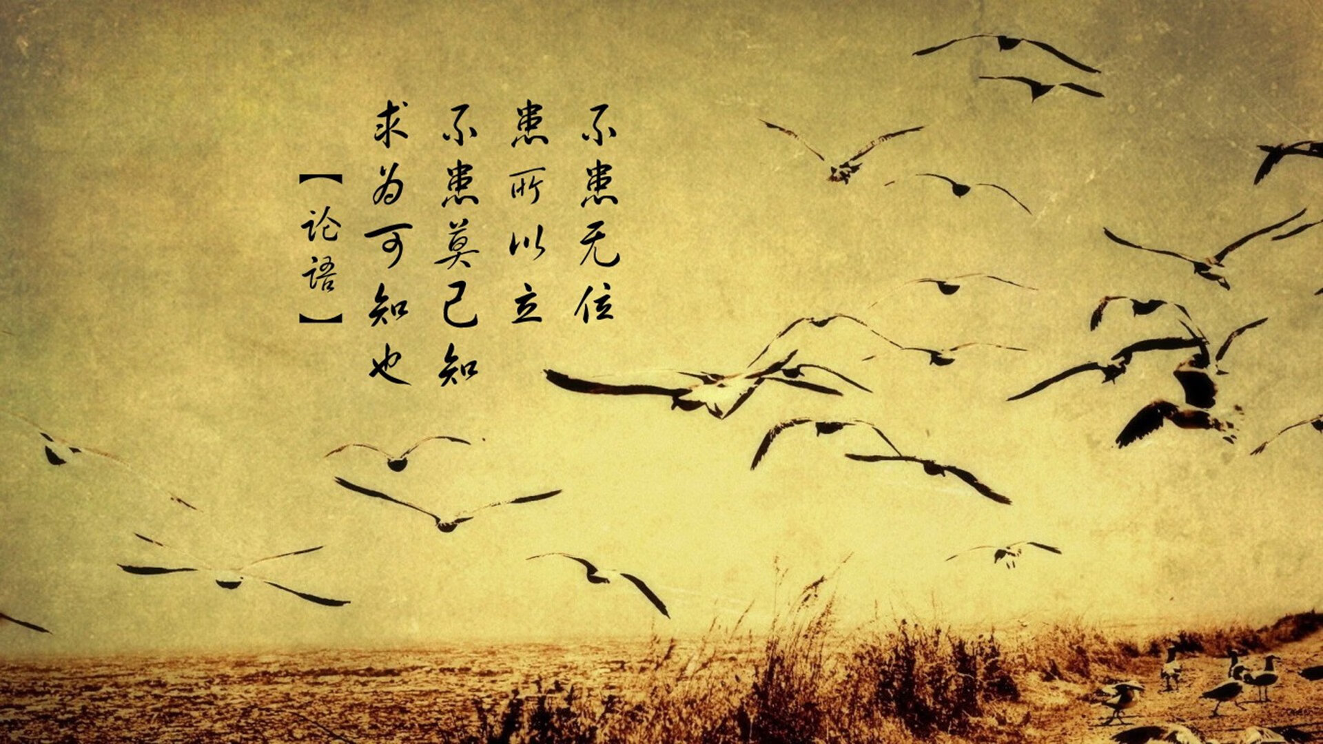 中超联赛国家队惨败 球迷期待阵容调整,国家队打中超