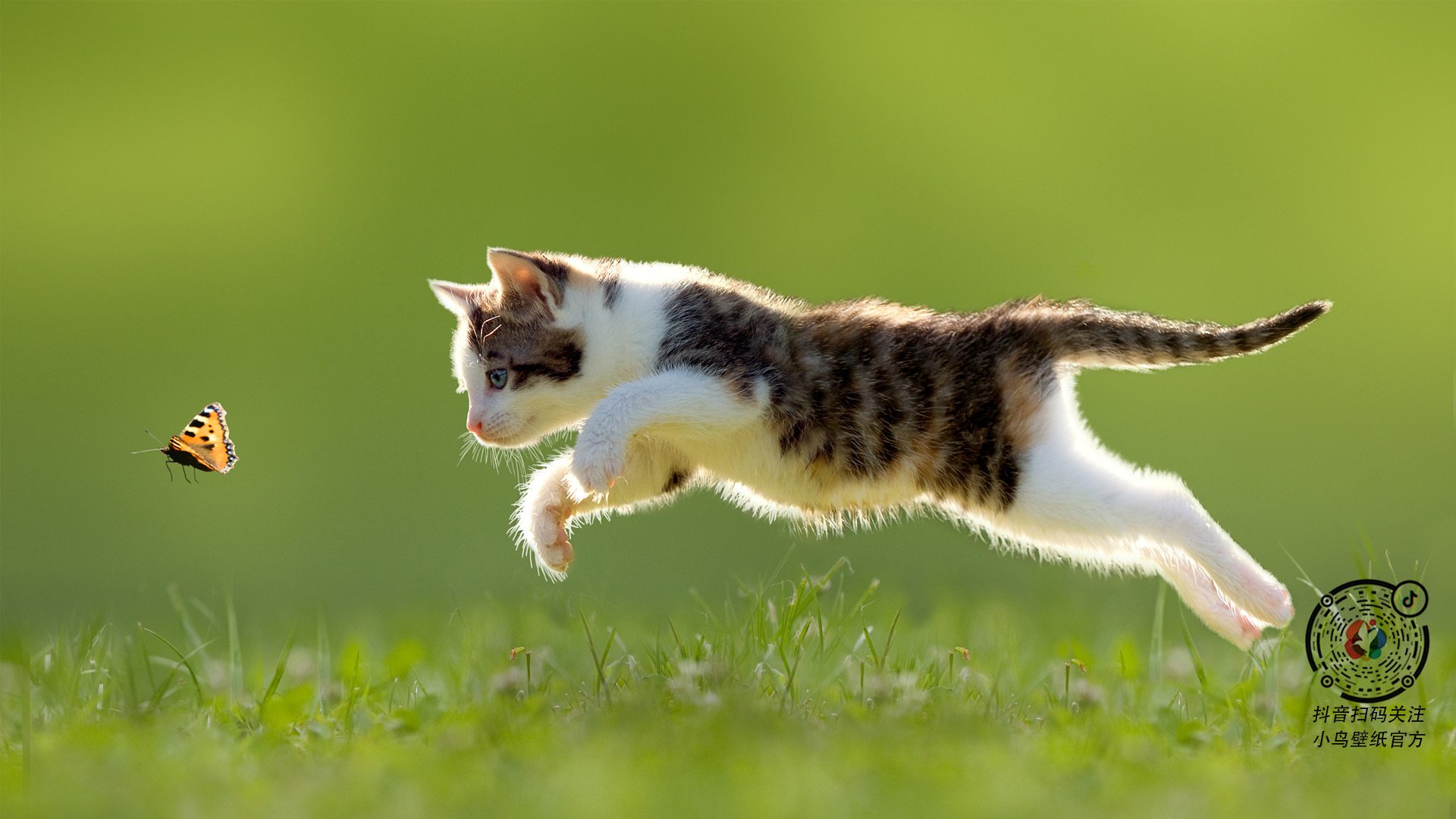 Leyu Sport登录入口-卡萨斯冲刺阶段技压群雄，卡萨斯弱什么