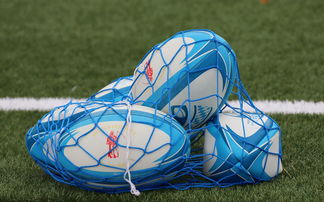 乐鱼电竞-法国橄榄球赛事的票房和赞助收入创历史新高，法国橄榄球国家队