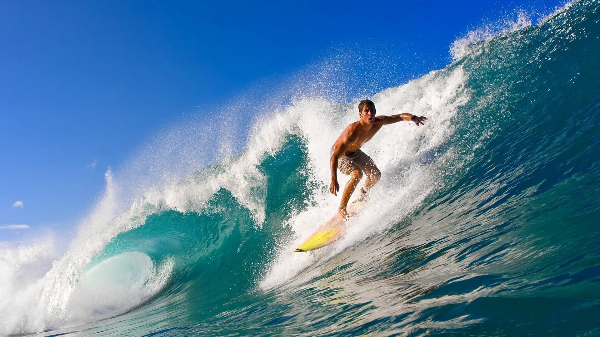 leyu乐鱼体育综合-电竞行业的安全保障：防范作弊与保护选手，电竞行业面临的风险